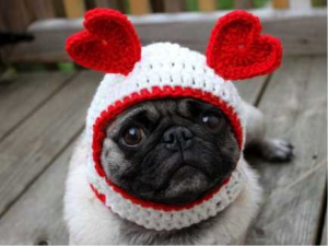 Valentine crafts for dogs? With apologies to Etsy.com and pugs everywhere. 