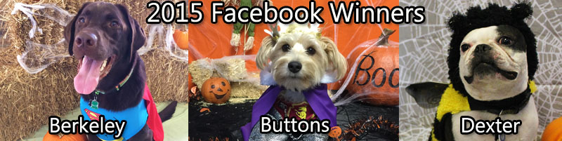 Dogs in costumes - Facebook winners
