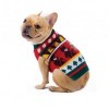 Tacky Dog Sweater