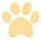 img-dog