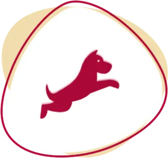 Services 2d dog services image