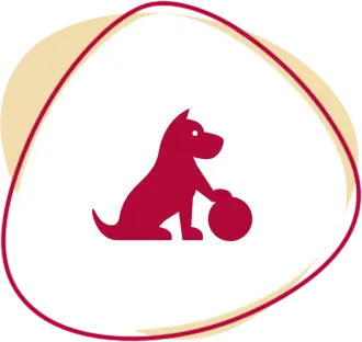 Services 4d dog services image