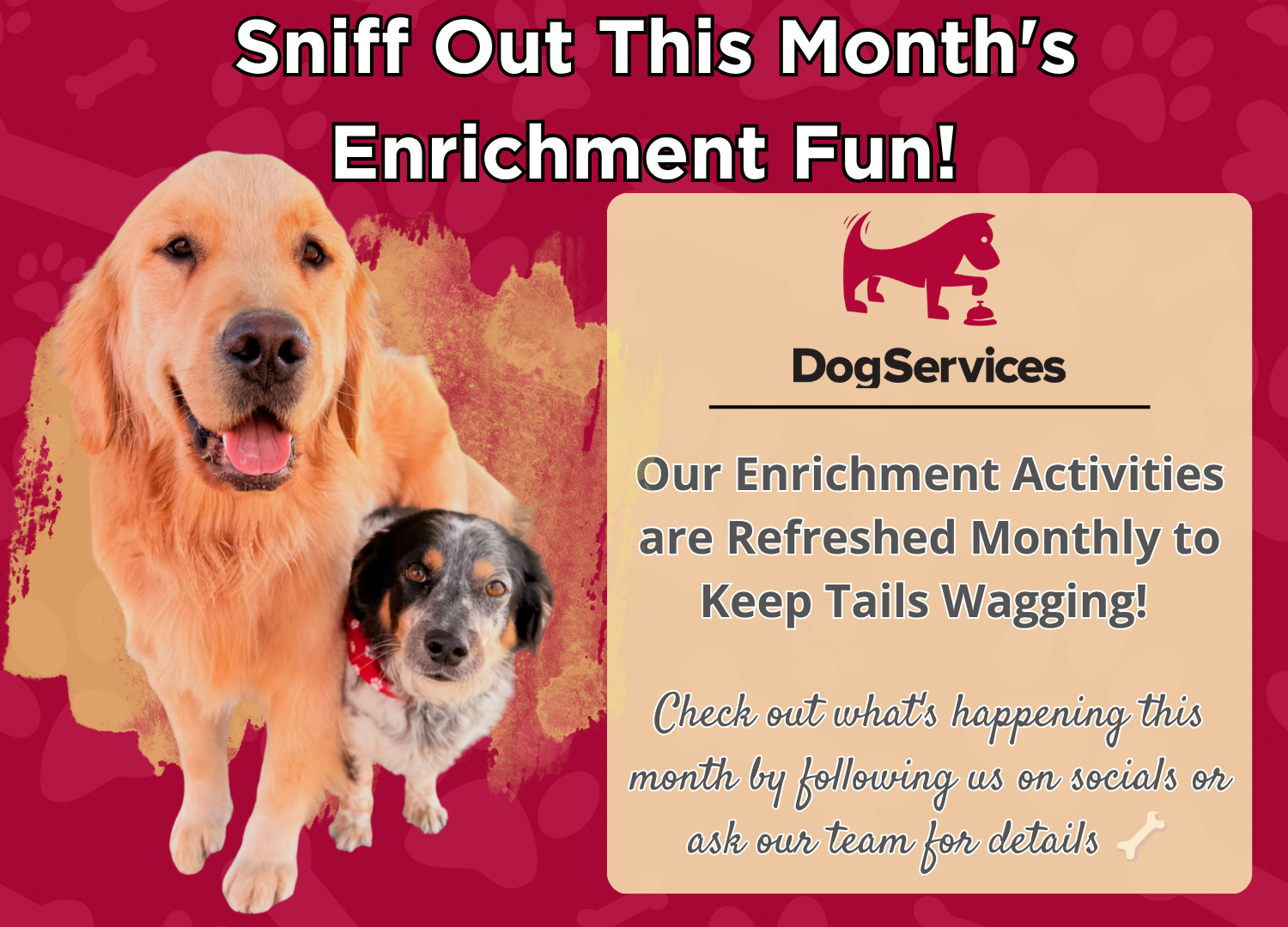 Enrichment Dog Pop-up