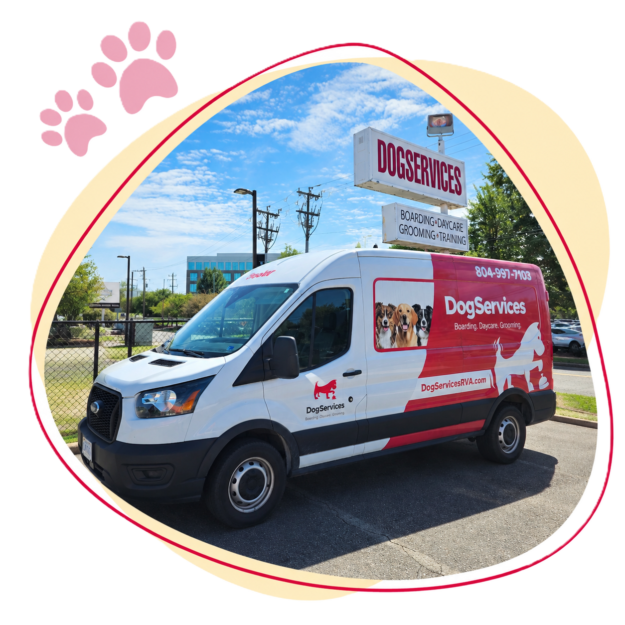 Pet Taxi