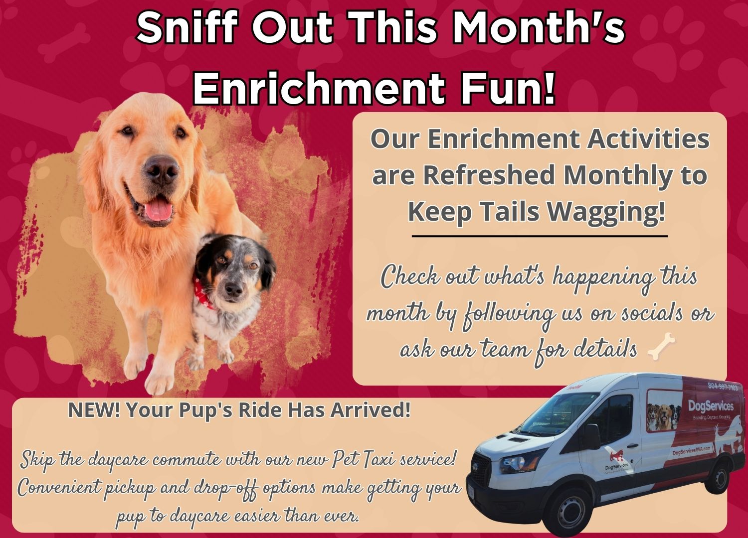Website Pop Up for enrichment and pet taxi